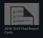 final report option